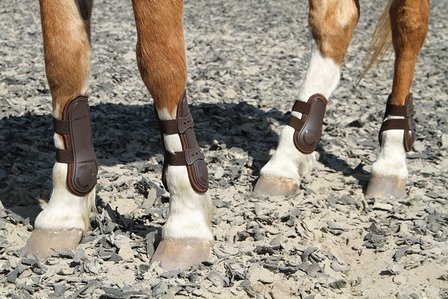 Harry&#039;s Horse Peesbeschermers Percy air