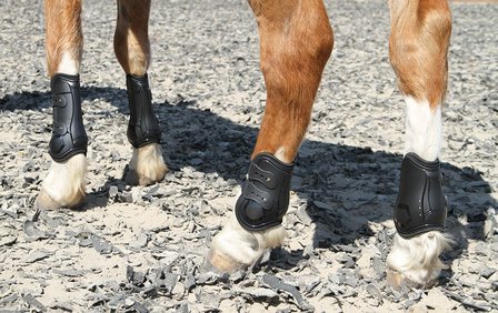 Harry&#039;s Horse Kogelbeschermers Percy air