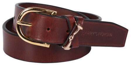 Brown Gold Bit Belt