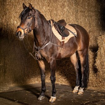 Harry&#039;s Horse Voortuig Deluxe Breast Plate