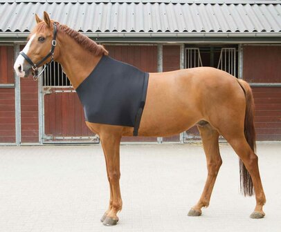 Harry&#039;s Horse Borstbeschermer lycra