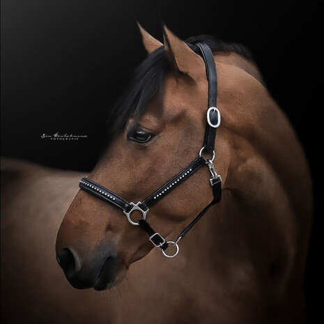 Finesse Headcollar