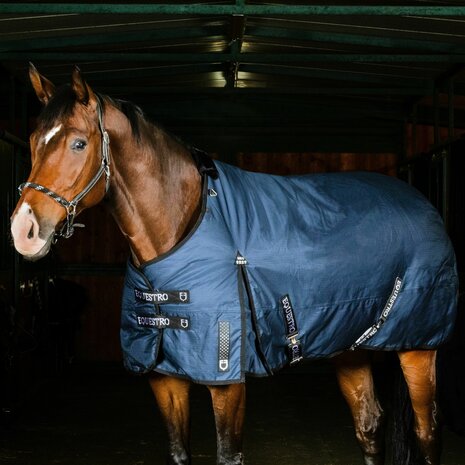 Alberta Paddock Rug