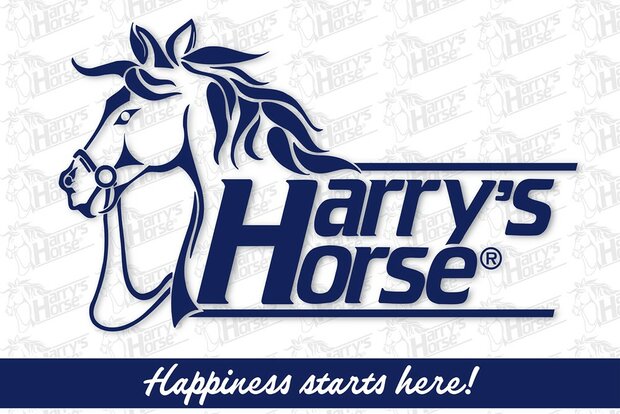 Harry's Horse